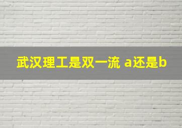 武汉理工是双一流 a还是b